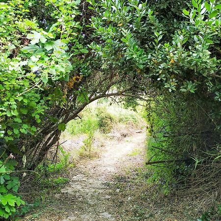 Villa Opali Κασσάνδρα Εξωτερικό φωτογραφία