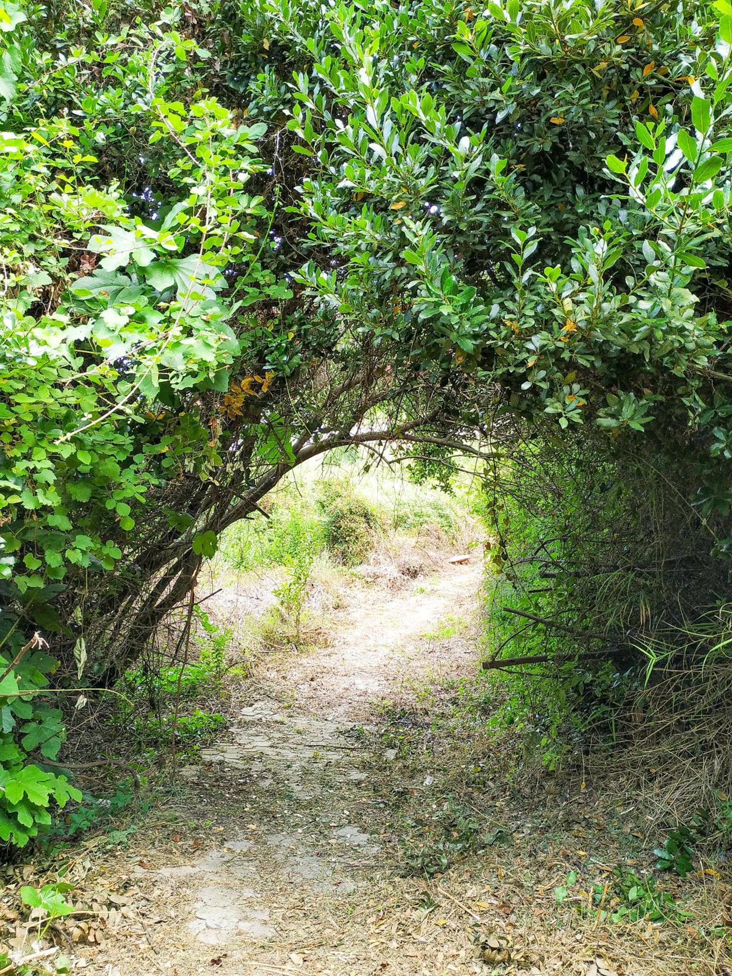 Villa Opali Κασσάνδρα Εξωτερικό φωτογραφία