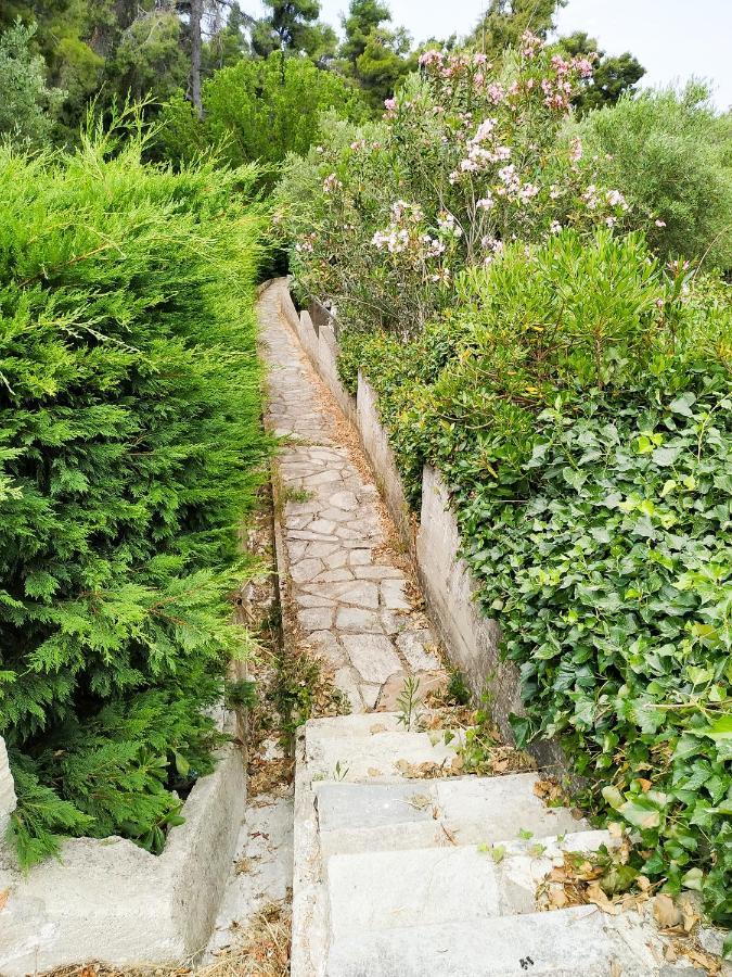 Villa Opali Κασσάνδρα Εξωτερικό φωτογραφία