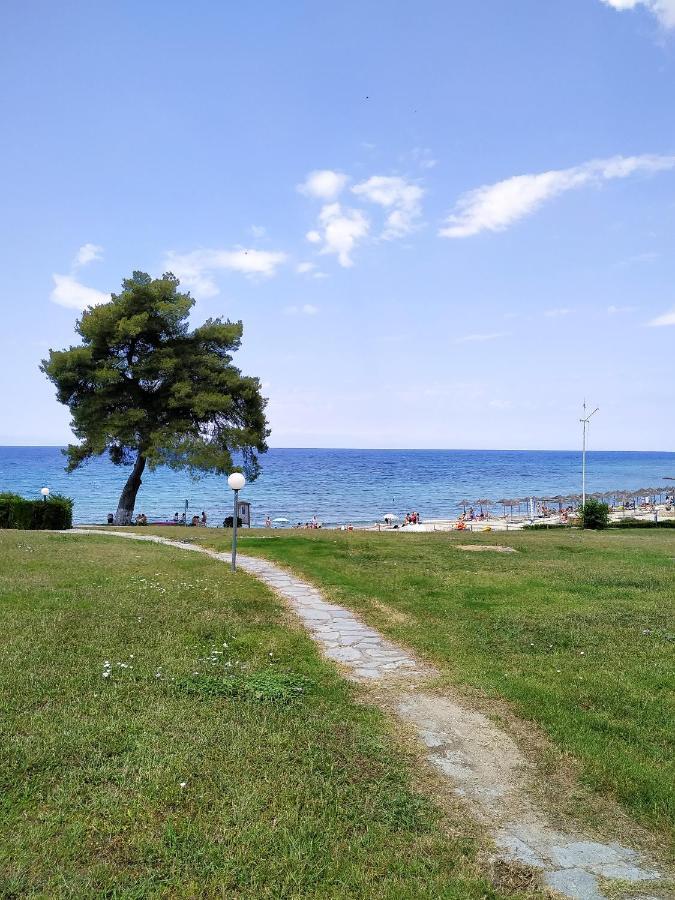 Villa Opali Κασσάνδρα Εξωτερικό φωτογραφία